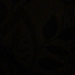 Meet your Posher, Skylar